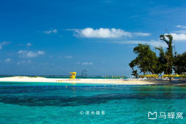 他小学文凭,却成大学教授,入围诺贝尔奖,还娶了自己的学生为妻
